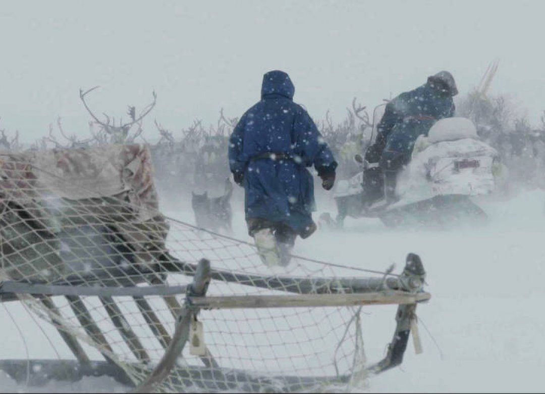 Nenets vs Gas