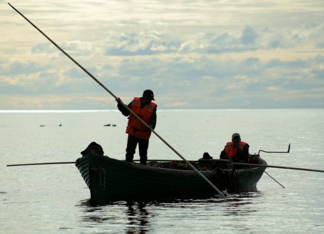 Gatherers of Sea Grass