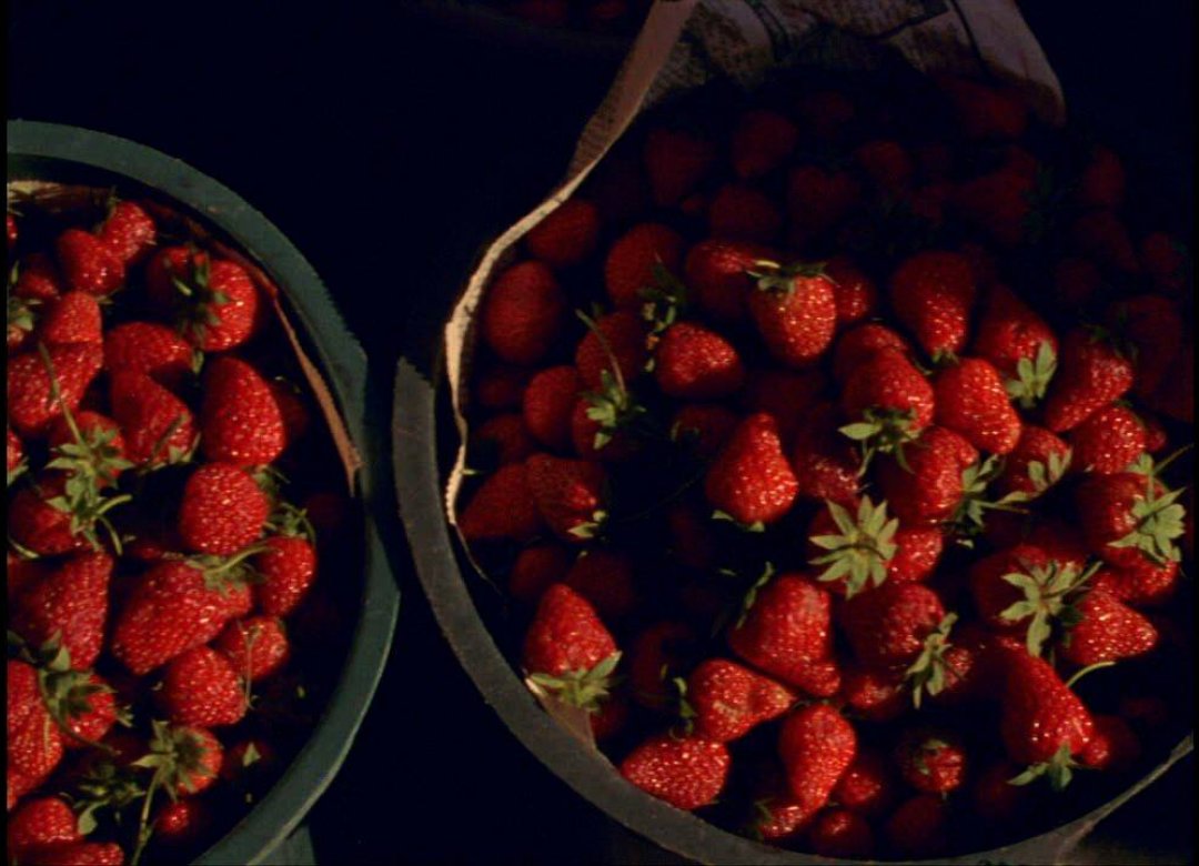 Enticing, Sugary, Boundless or Songs and Dances about Death