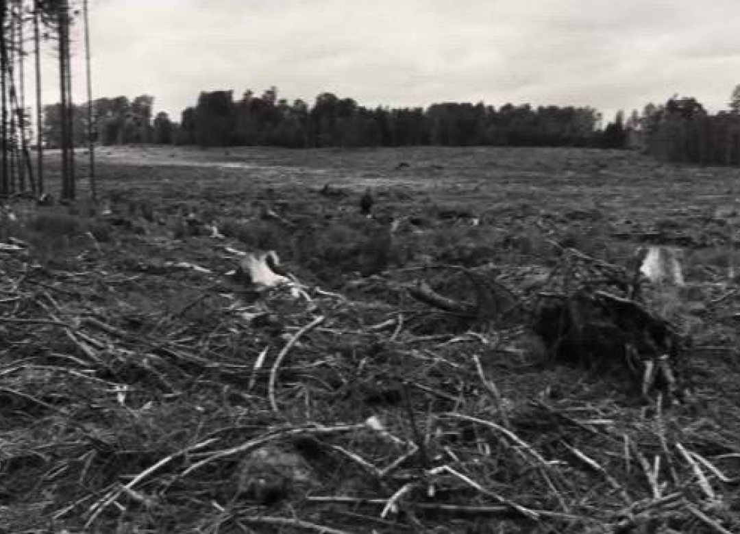 Czechia Deforested