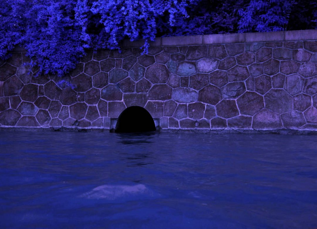 The Gutter