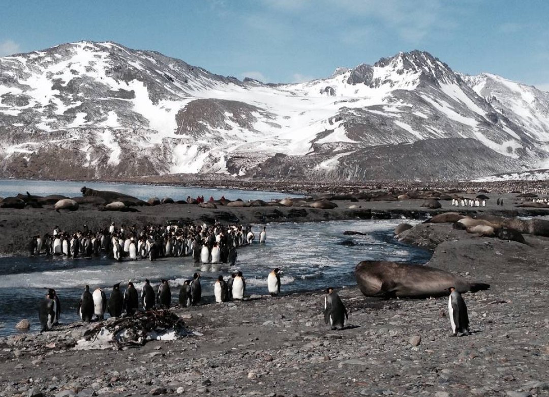 Antarctic Traces
