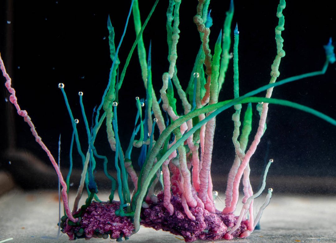 Chemobrionics