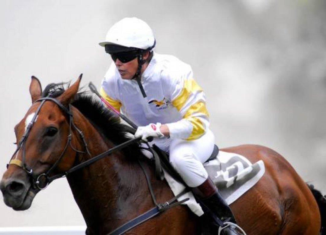 Fated Horse