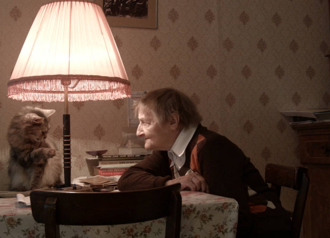 Apartment 19