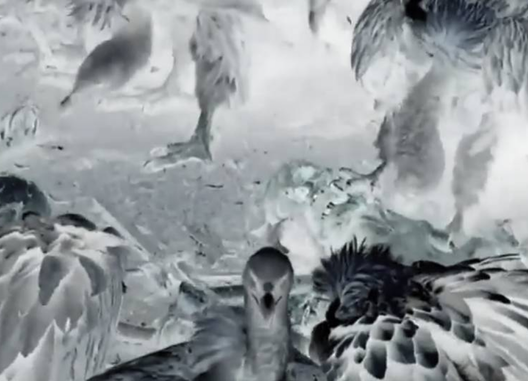 Below the Black Sun /extended edition/