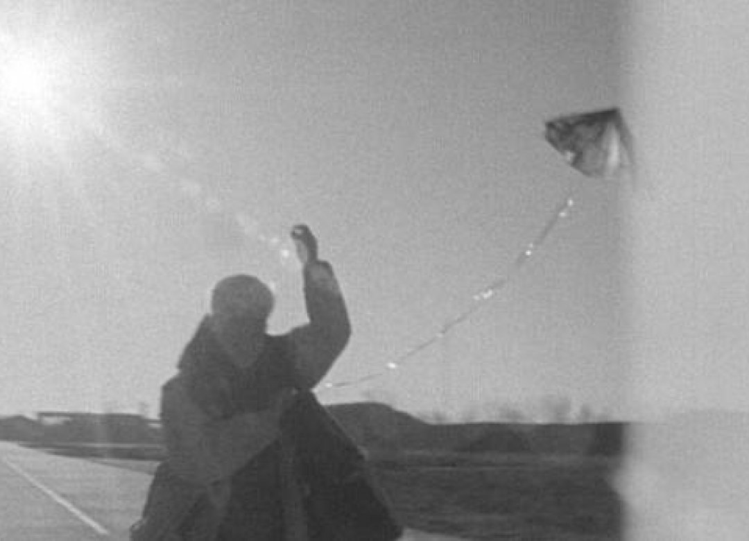 Negative History of Hungarian Cinema