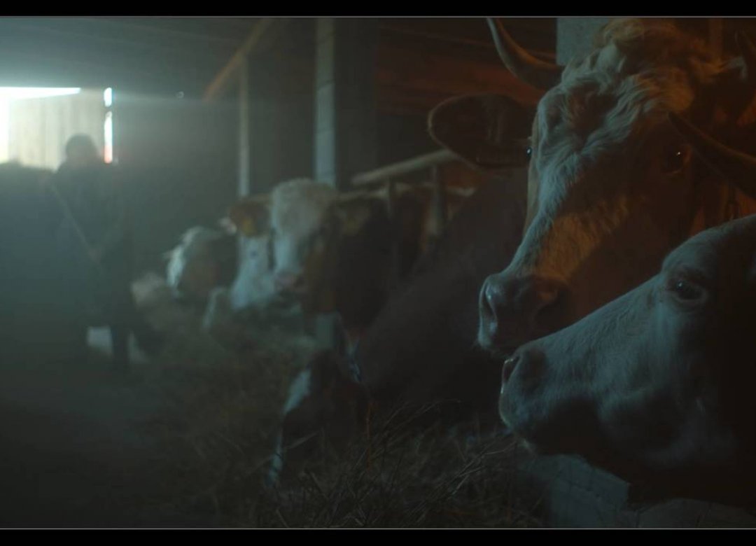 Cow Bell