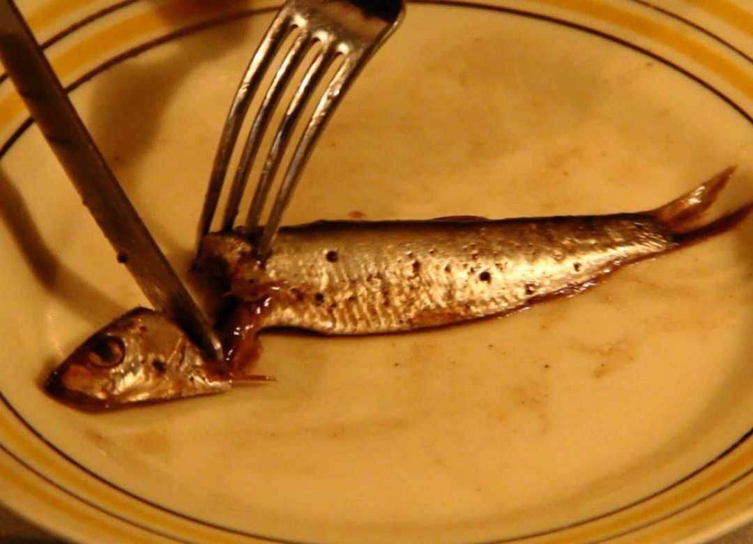 Tallinn Spicy Sprats. The Canned Tales.