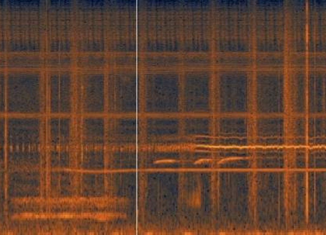 Spectrum Restoration