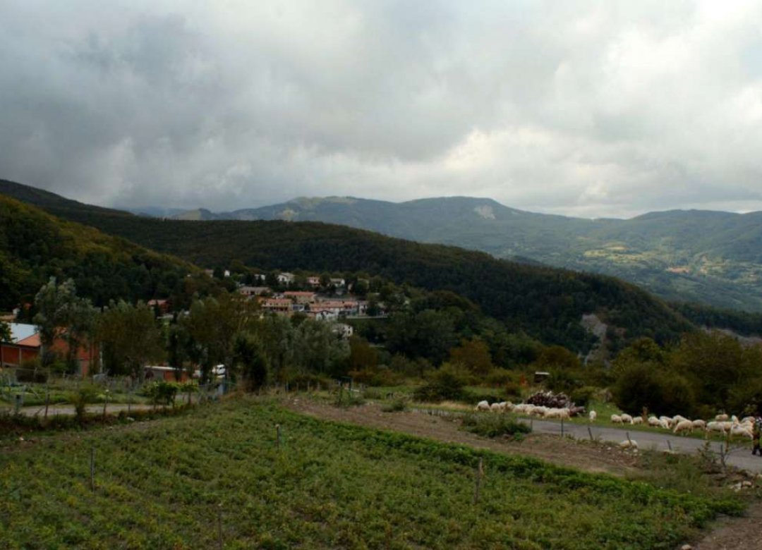 Varvilla